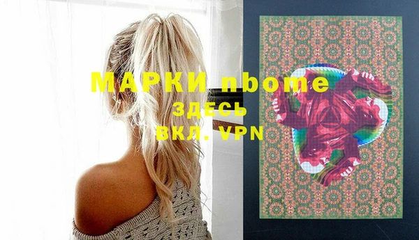 молекула духа Арсеньев