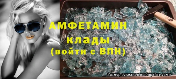 твердый Аркадак