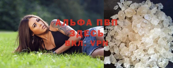 молекула духа Арсеньев