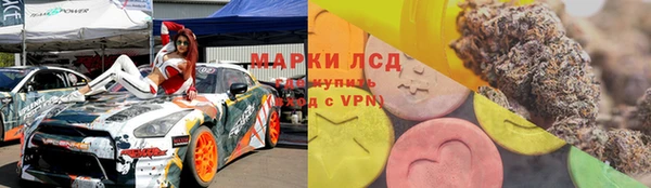 молекула духа Арсеньев