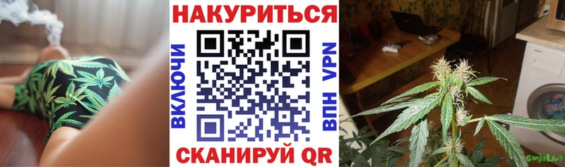Купить закладки  Полярные Зори  Марихуана план 